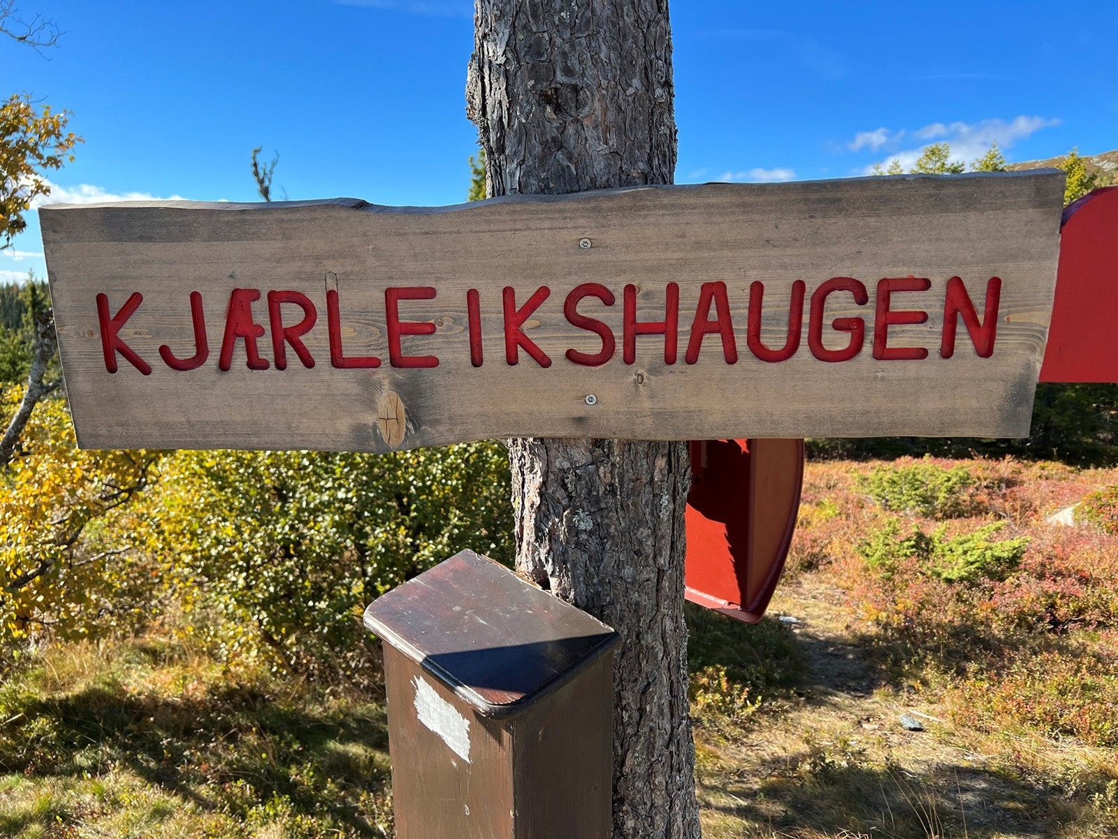 Nærområdet. Galleribilde