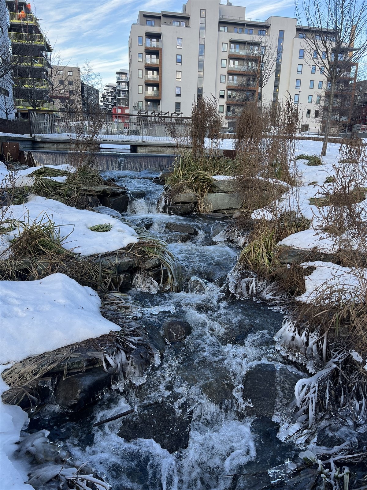 Nærområdet! Galleribilde