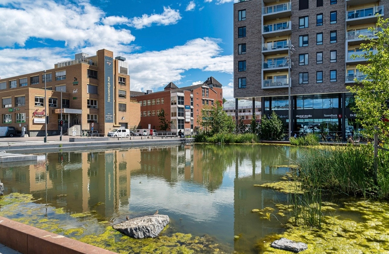 Nærområdet! Galleribilde