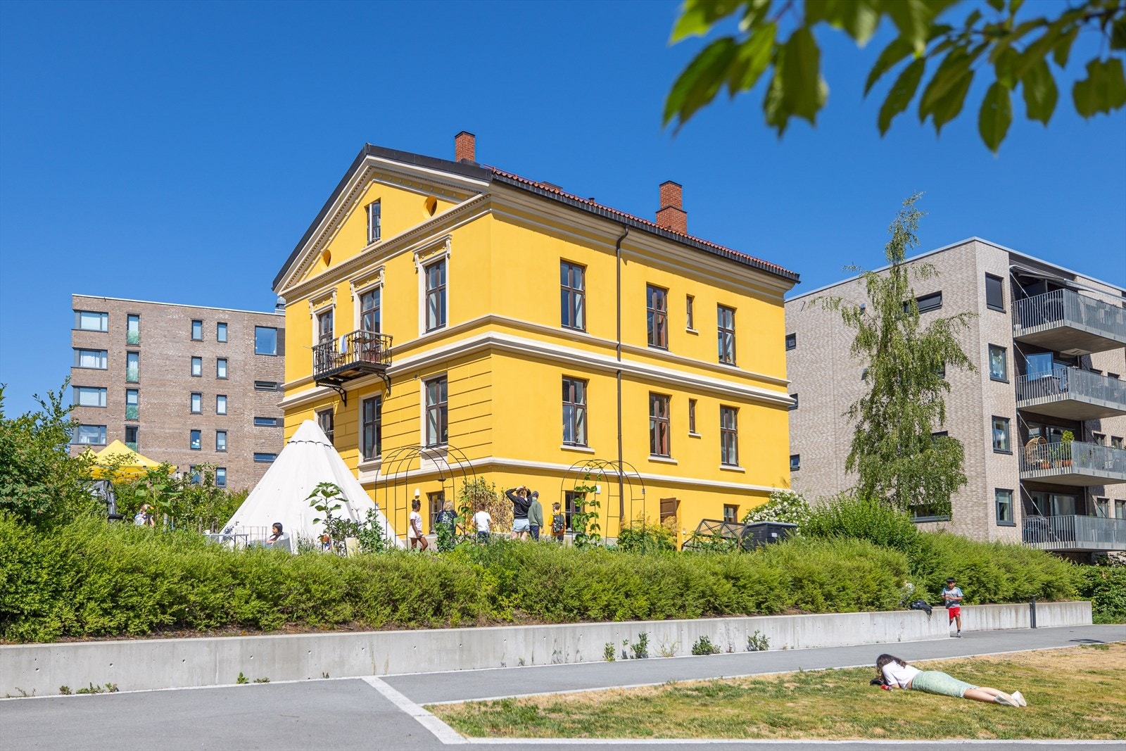 Nærområdet. Galleribilde