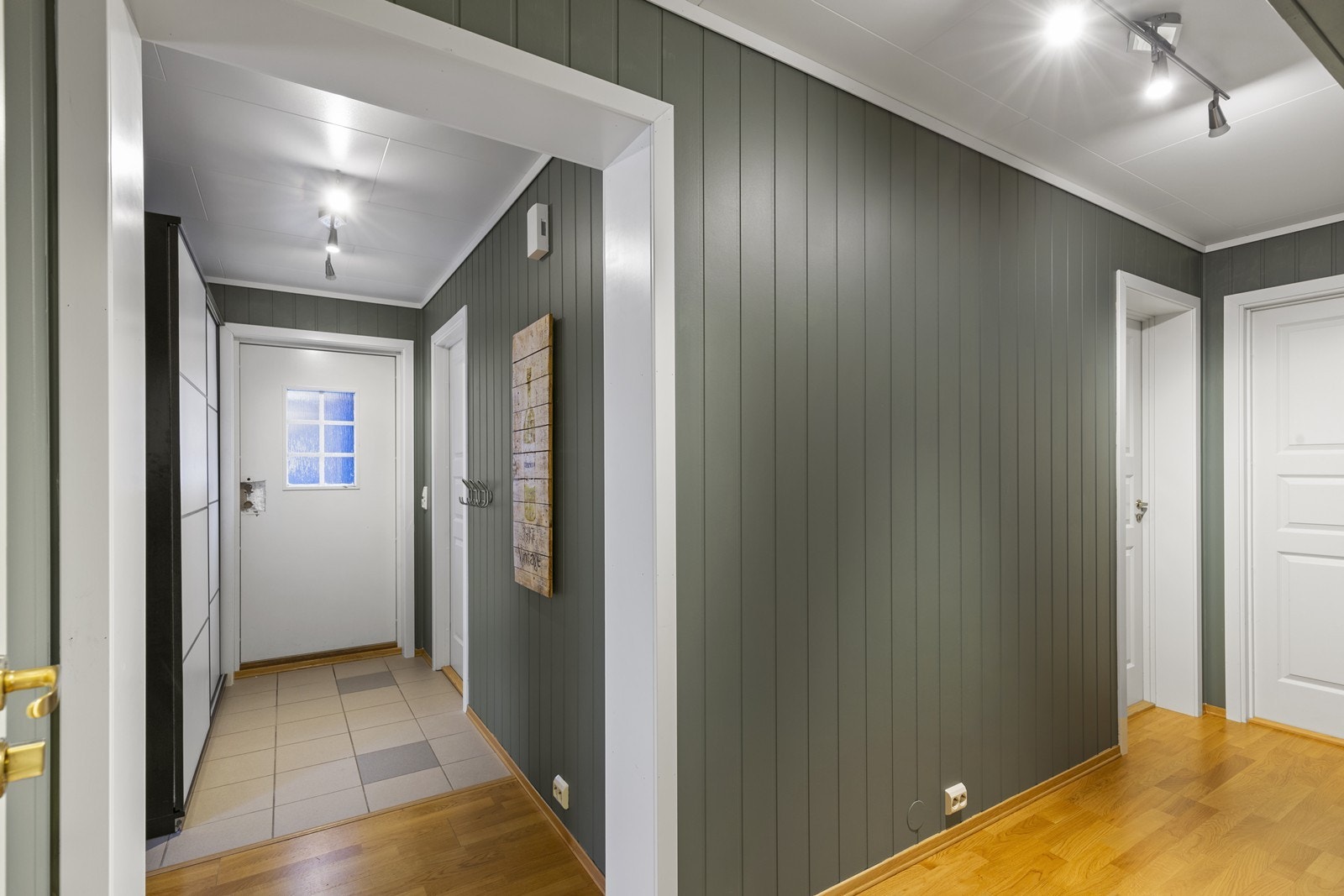 _62A8058 Galleribilde