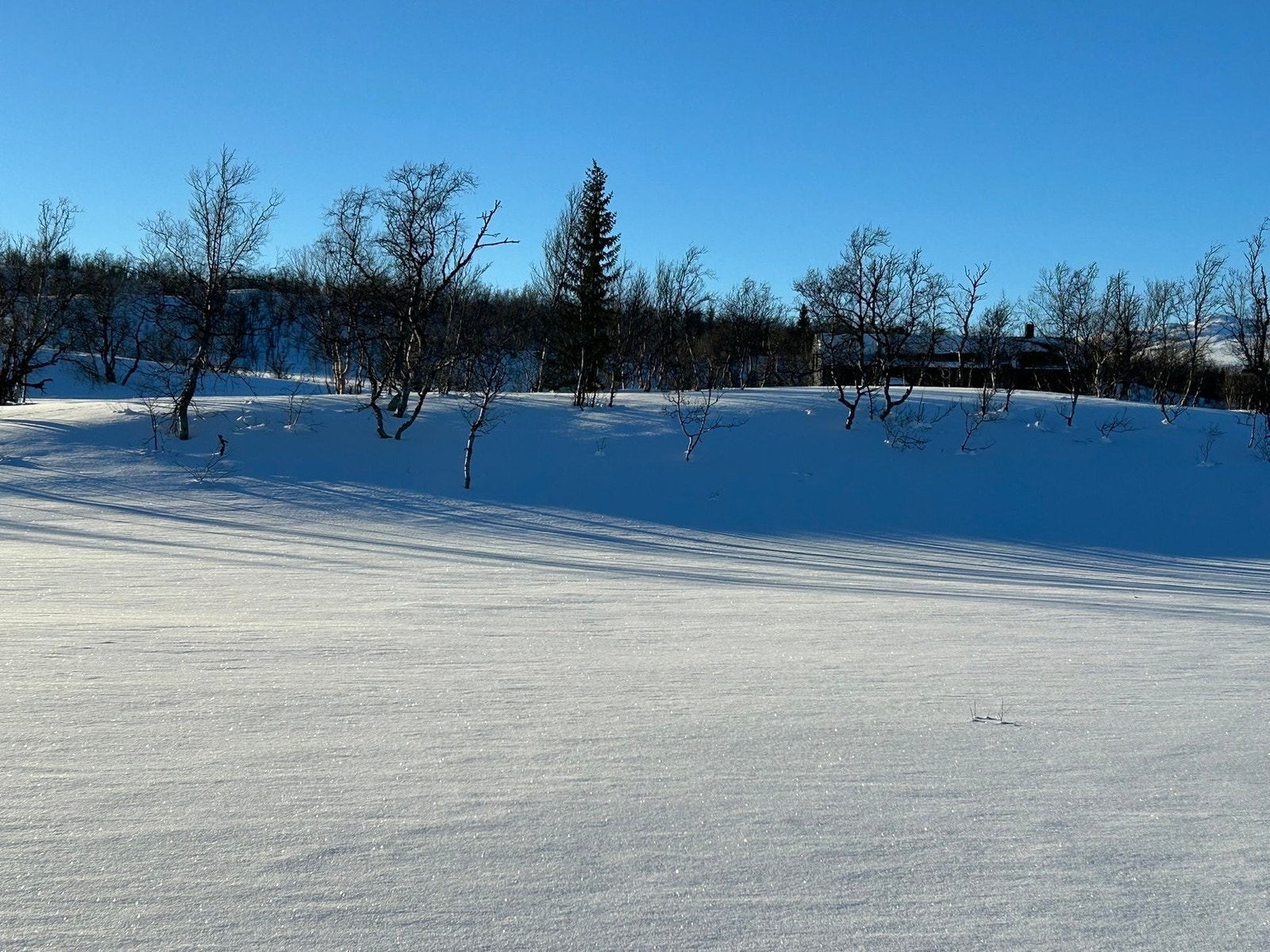 Foto fra tomteområdet Galleribilde