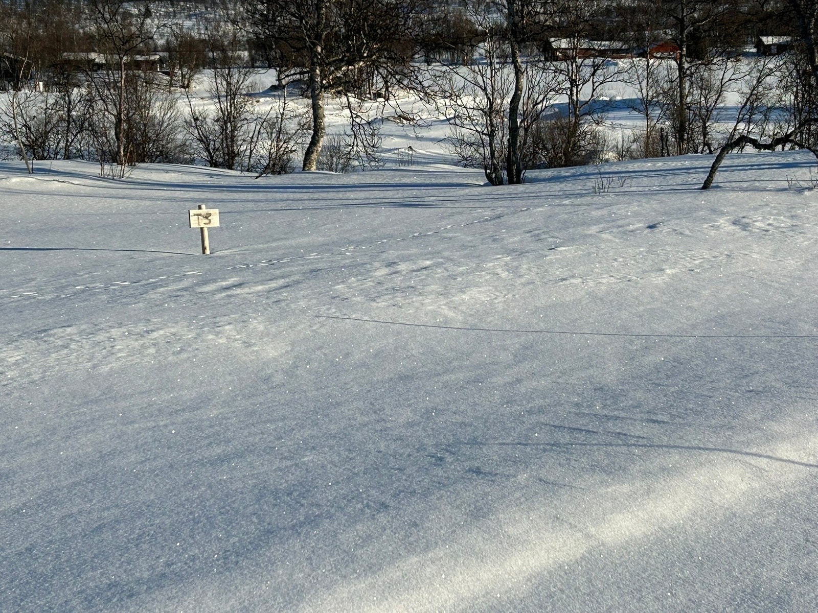 Foto fra tomteområdet Galleribilde