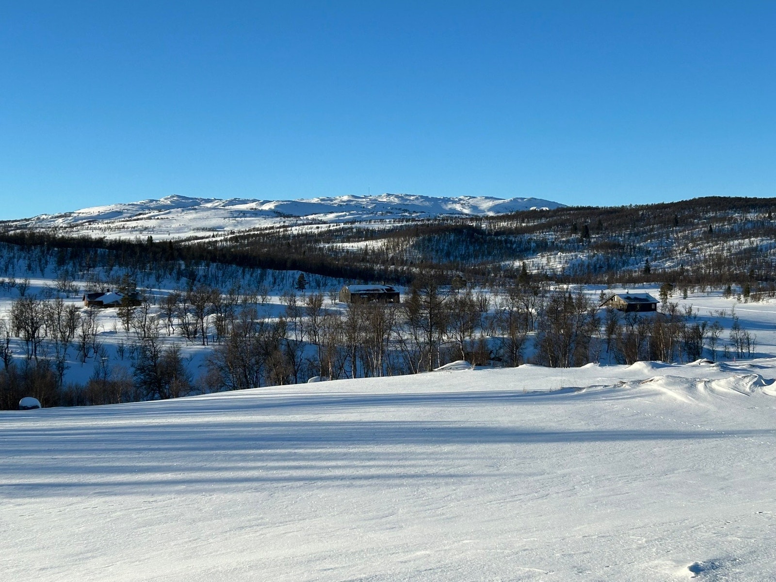Foto fra tomteområdet Galleribilde