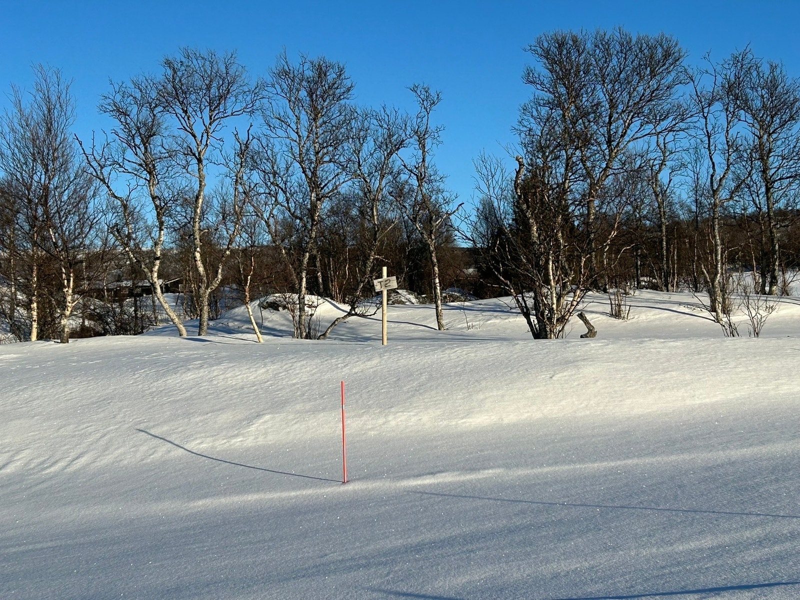 Foto fra tomteområdet Galleribilde