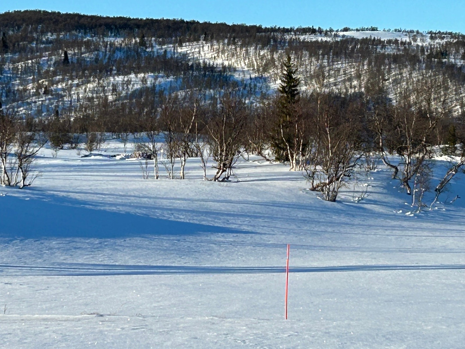 Foto fra tomteområdet Galleribilde