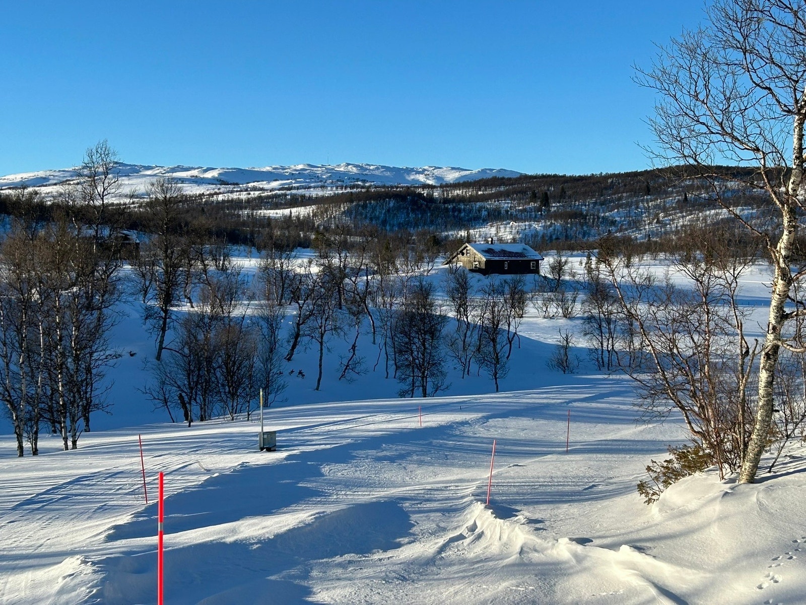 Foto fra tomteområdet Galleribilde