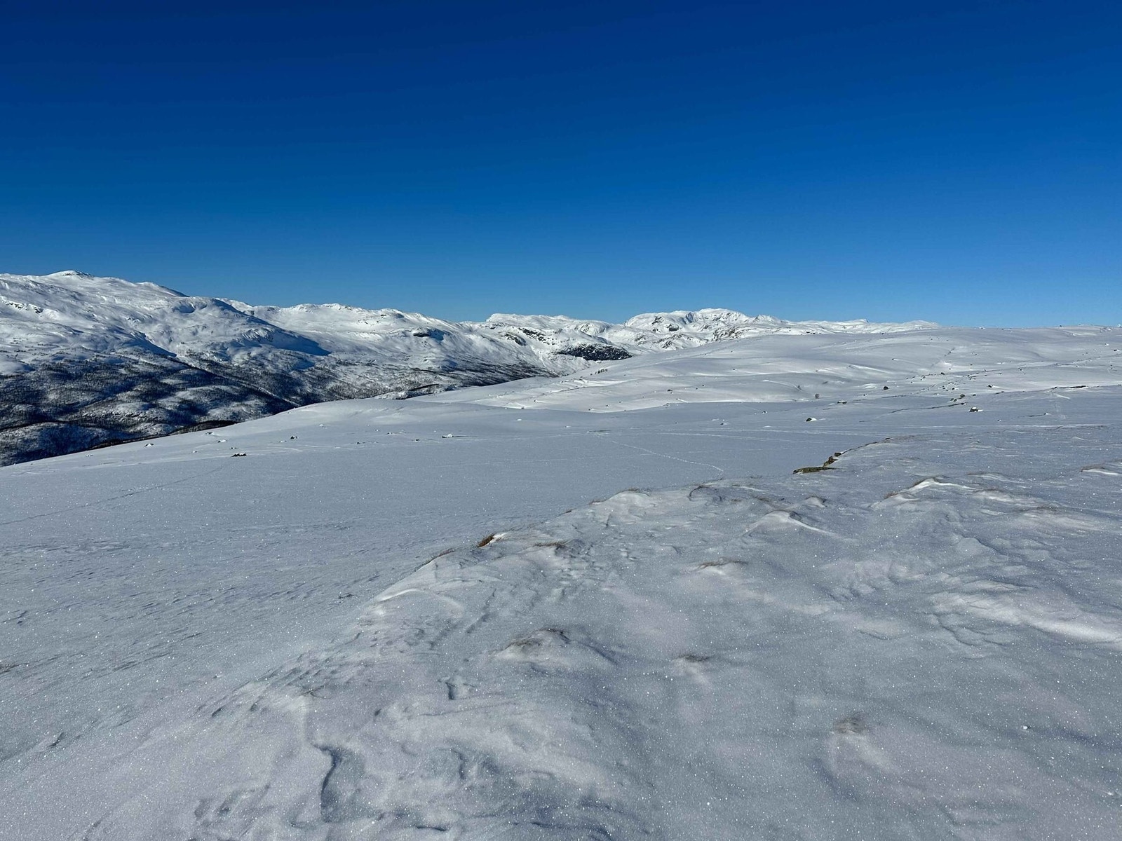 Fra fjellområdene ved Filefjell Galleribilde