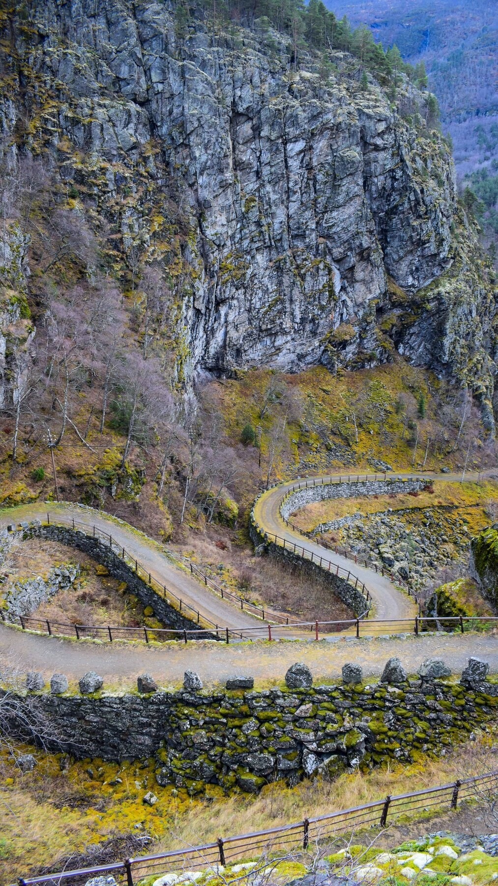 Fra Kongevegen over Filefjell Galleribilde