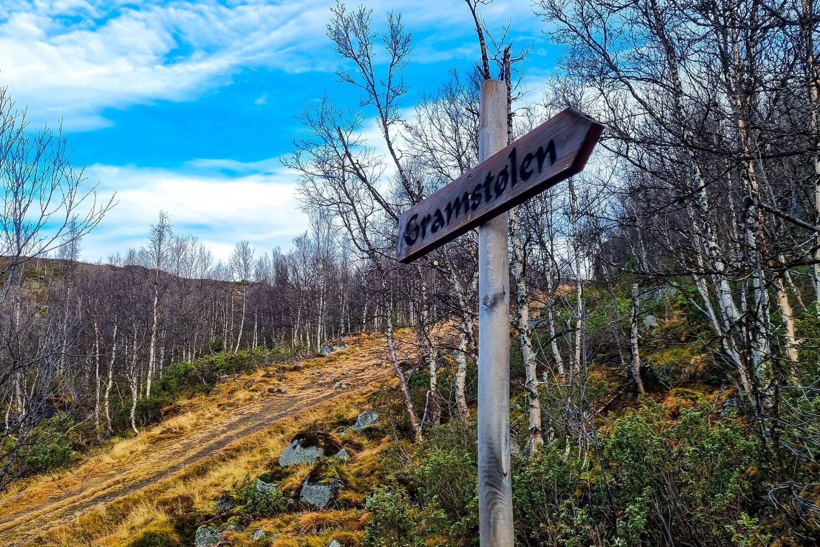 Fra tursti i området Galleribilde