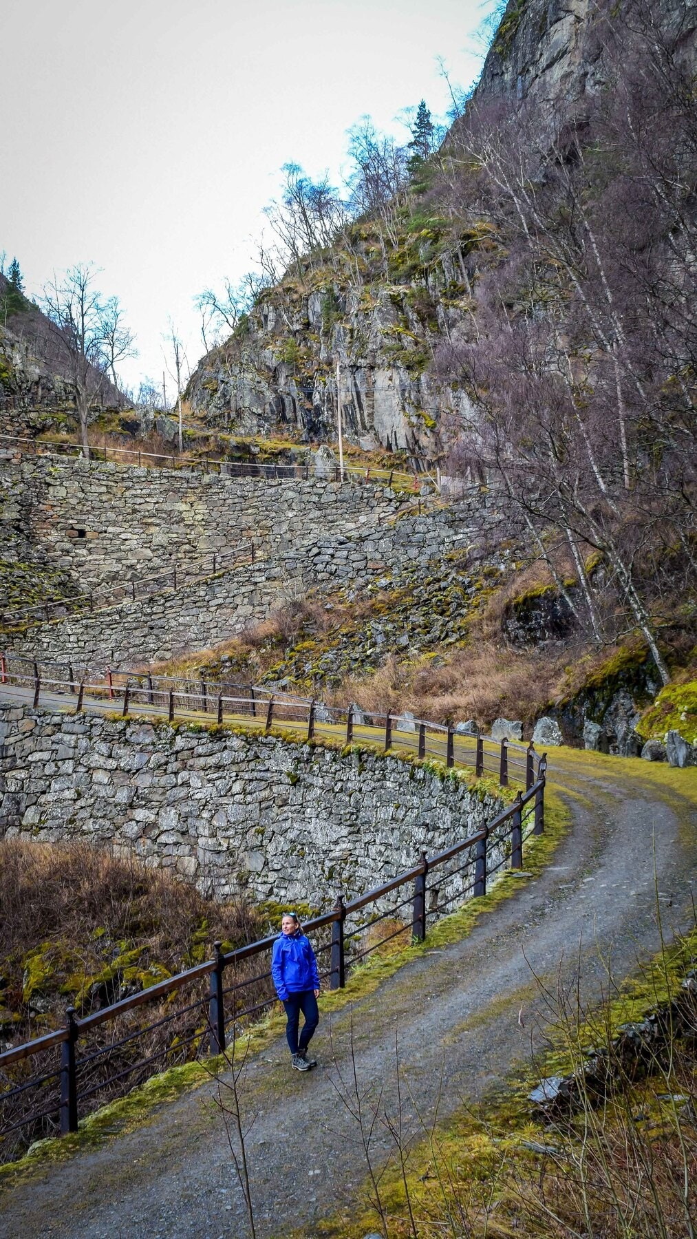 Fra Kongevegen over Filefjell Galleribilde