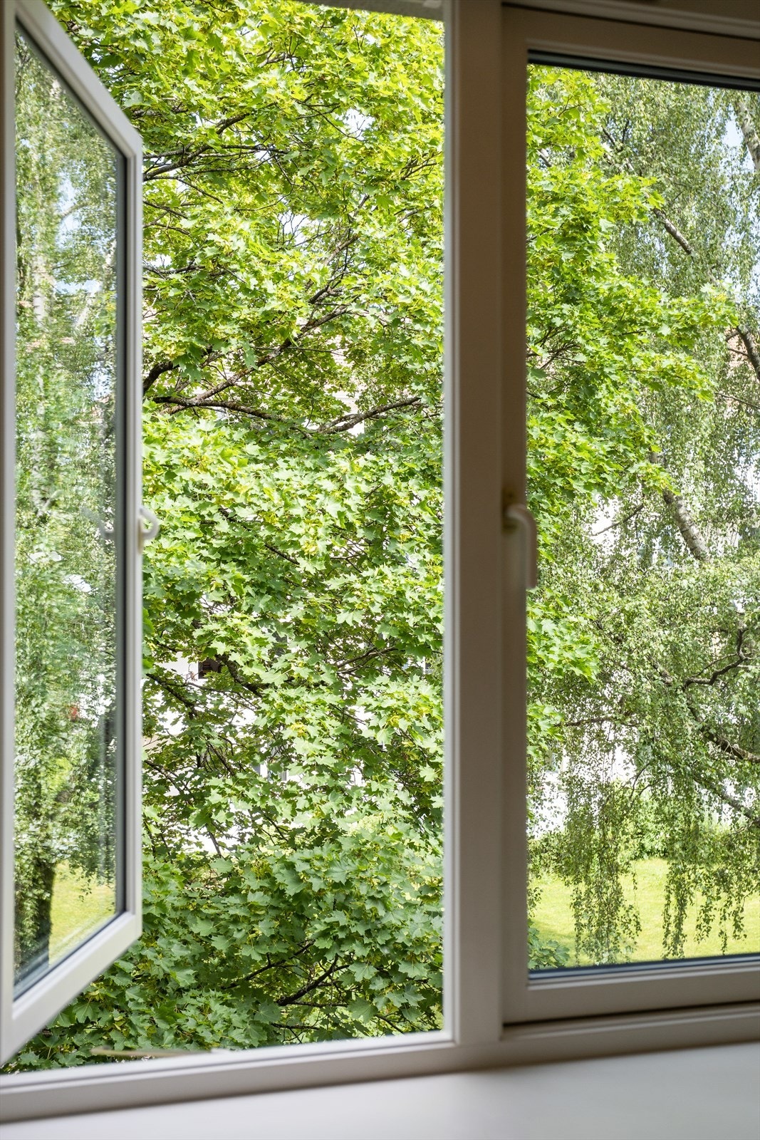 Flott grønt utsyn fra kjøkkenet på sommeren Galleribilde