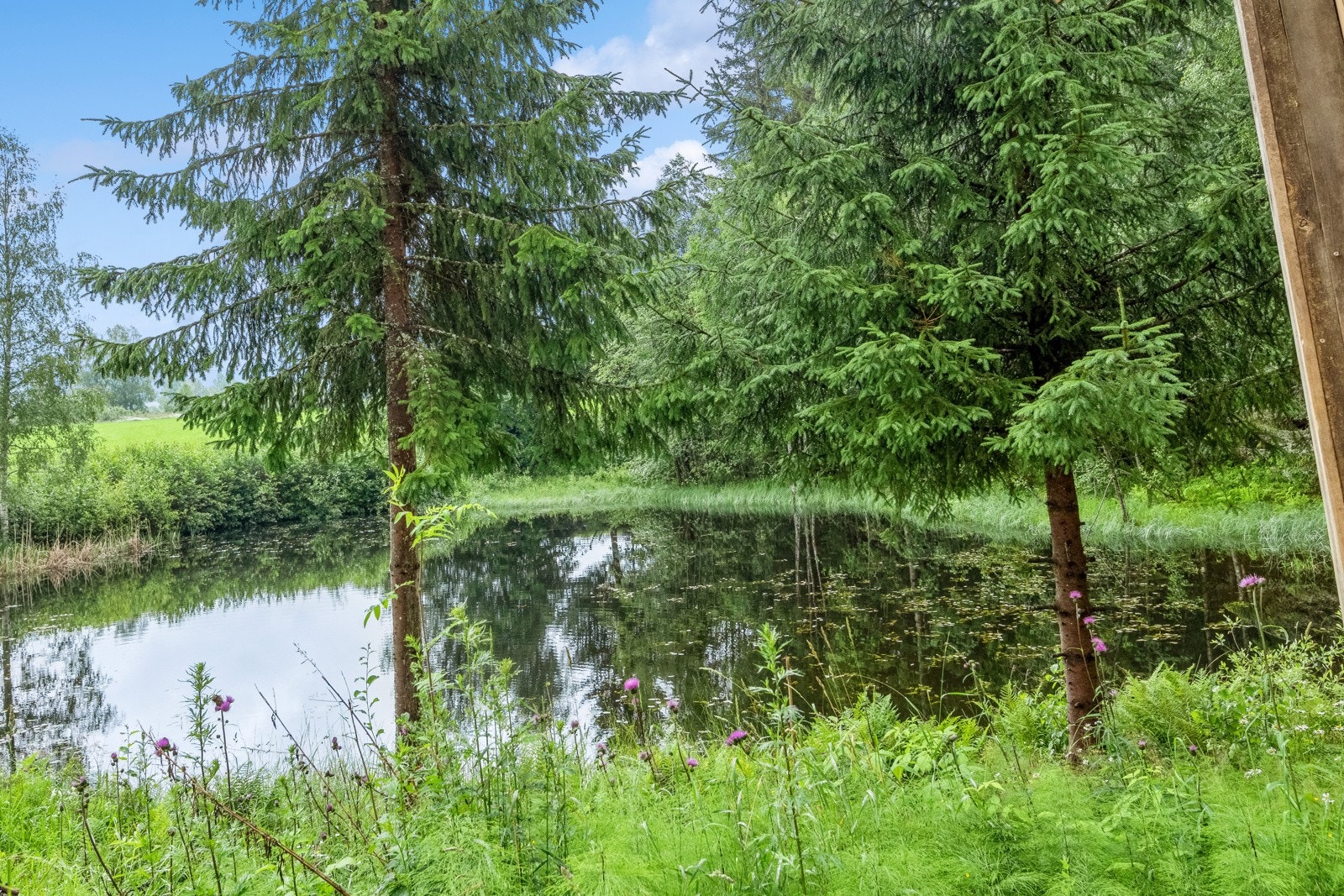 Fasade Galleribilde