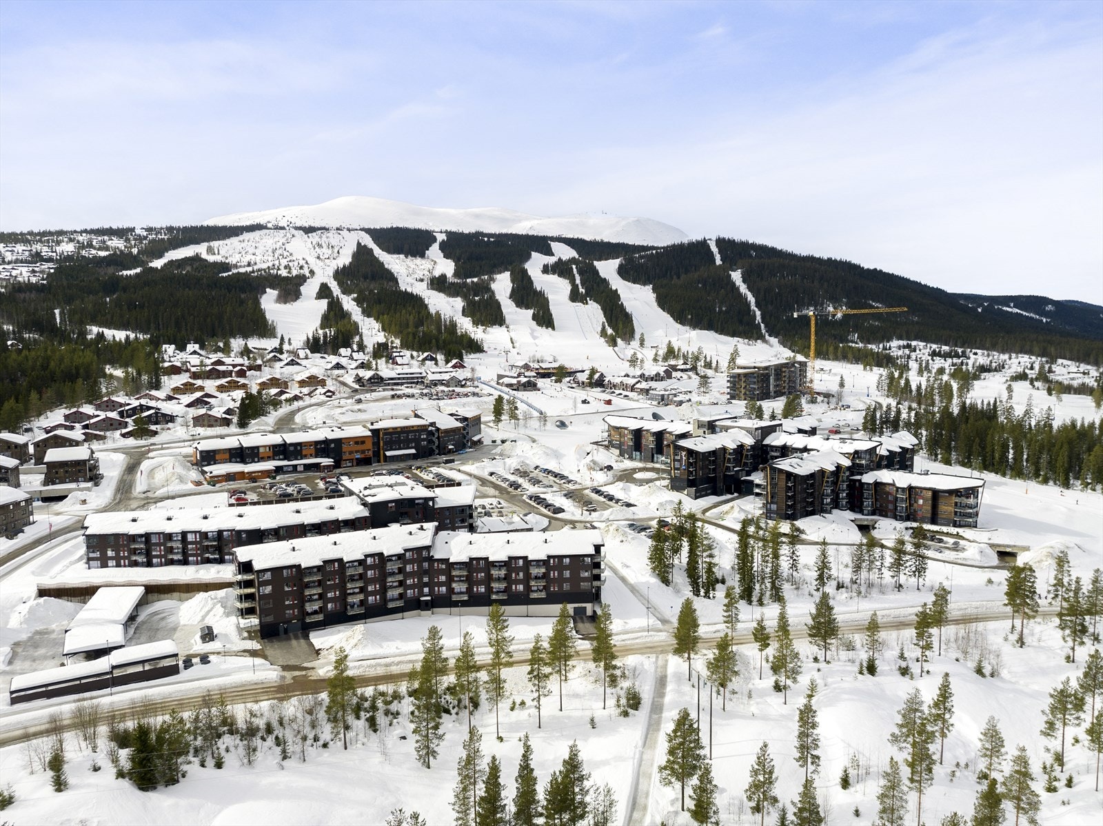 Trysilfjellet er en av Norges mest populære skidestinasjoner og har stor variasjon i skianlegget. Her finner du også langrennsløyper og utbygde barneområder som gjør Trysilfjellet meget familievennlig. Galleribilde