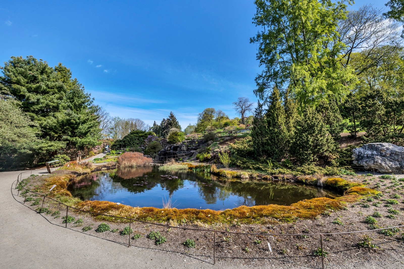 Området er omkranset av flere grøntområder og parker m.m. Galleribilde