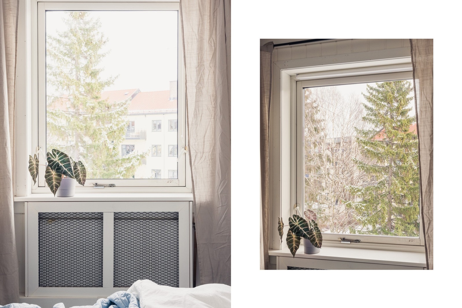 Luftig utsyn fra vinduet. Galleribilde