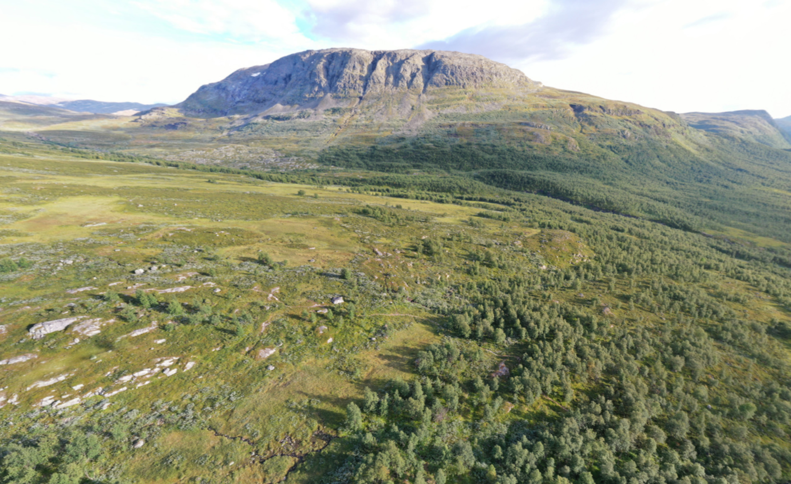 Illustrasjonsbilde fra tomteområde Galleribilde