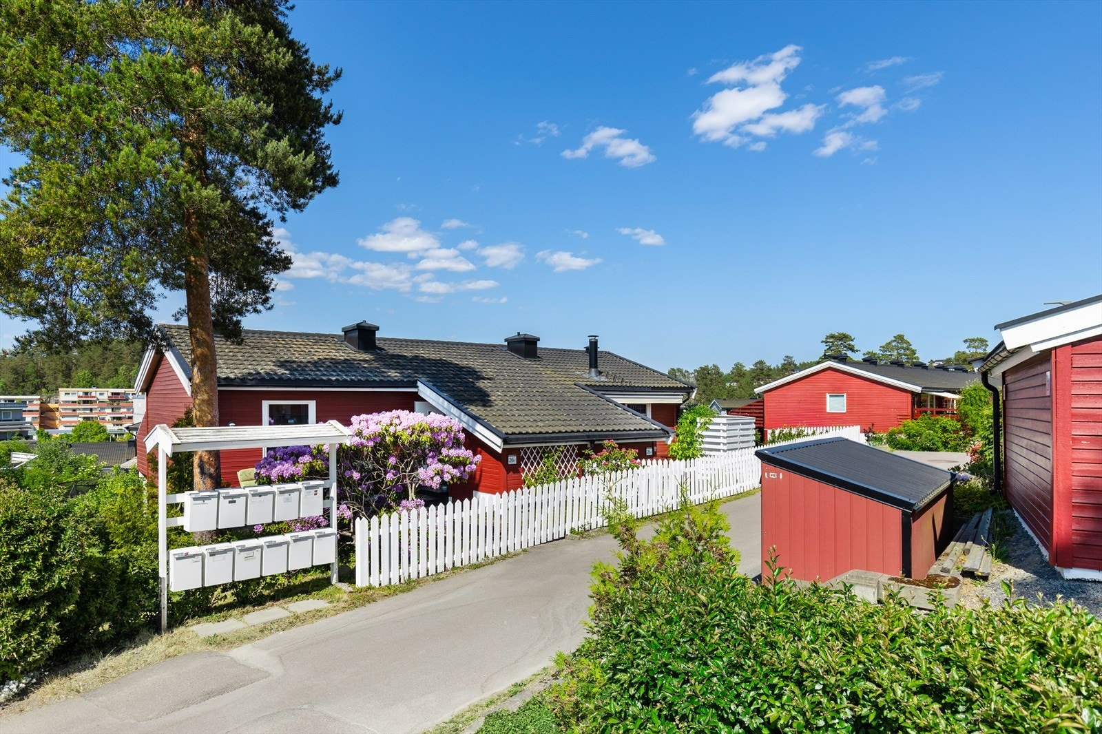 Idyllisk bolig med frodig beplantning og hvitt gjerde mot veien. Galleribilde