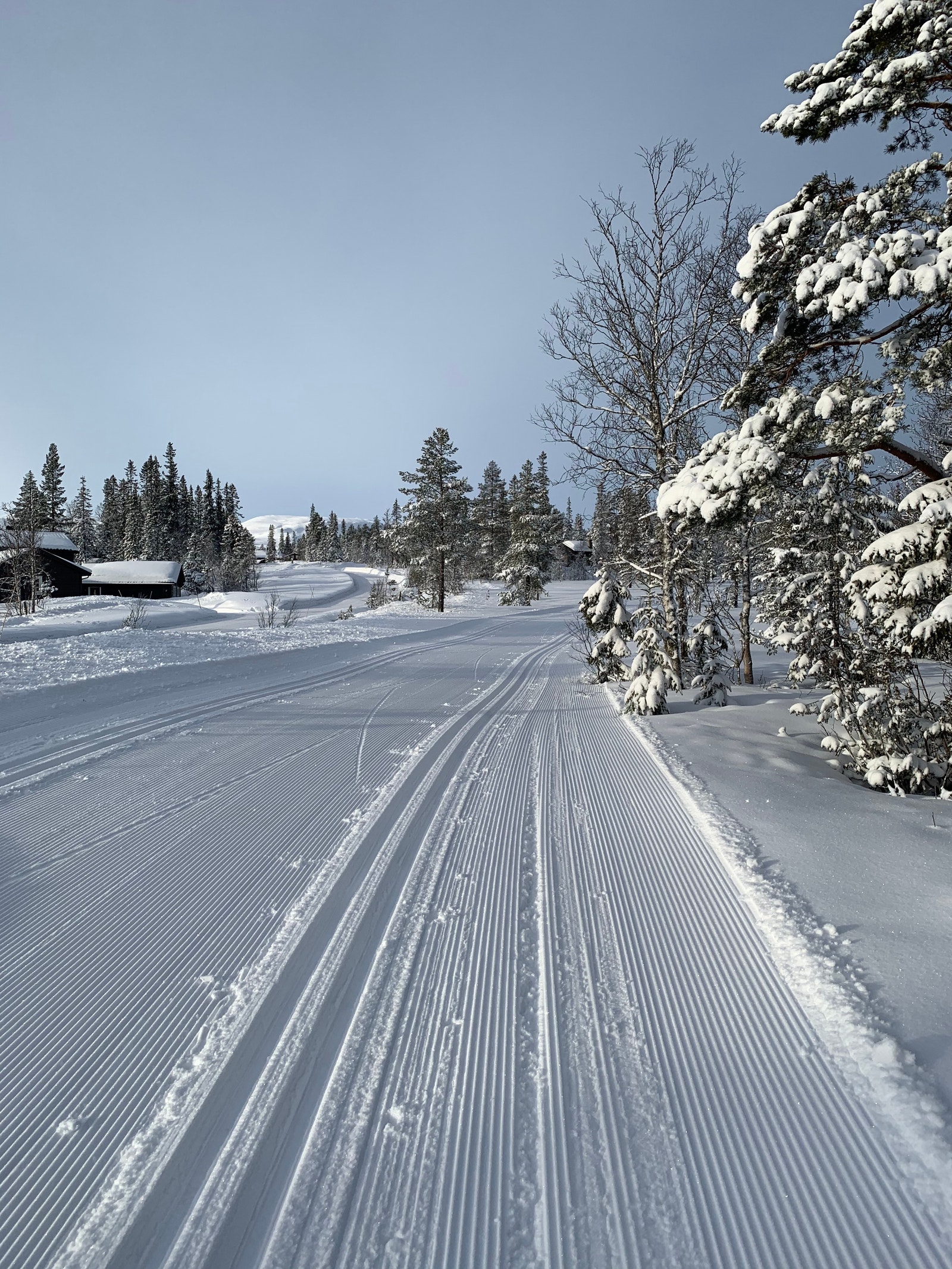 Skiløype fra Høybulie mot Persbuhaugen Galleribilde