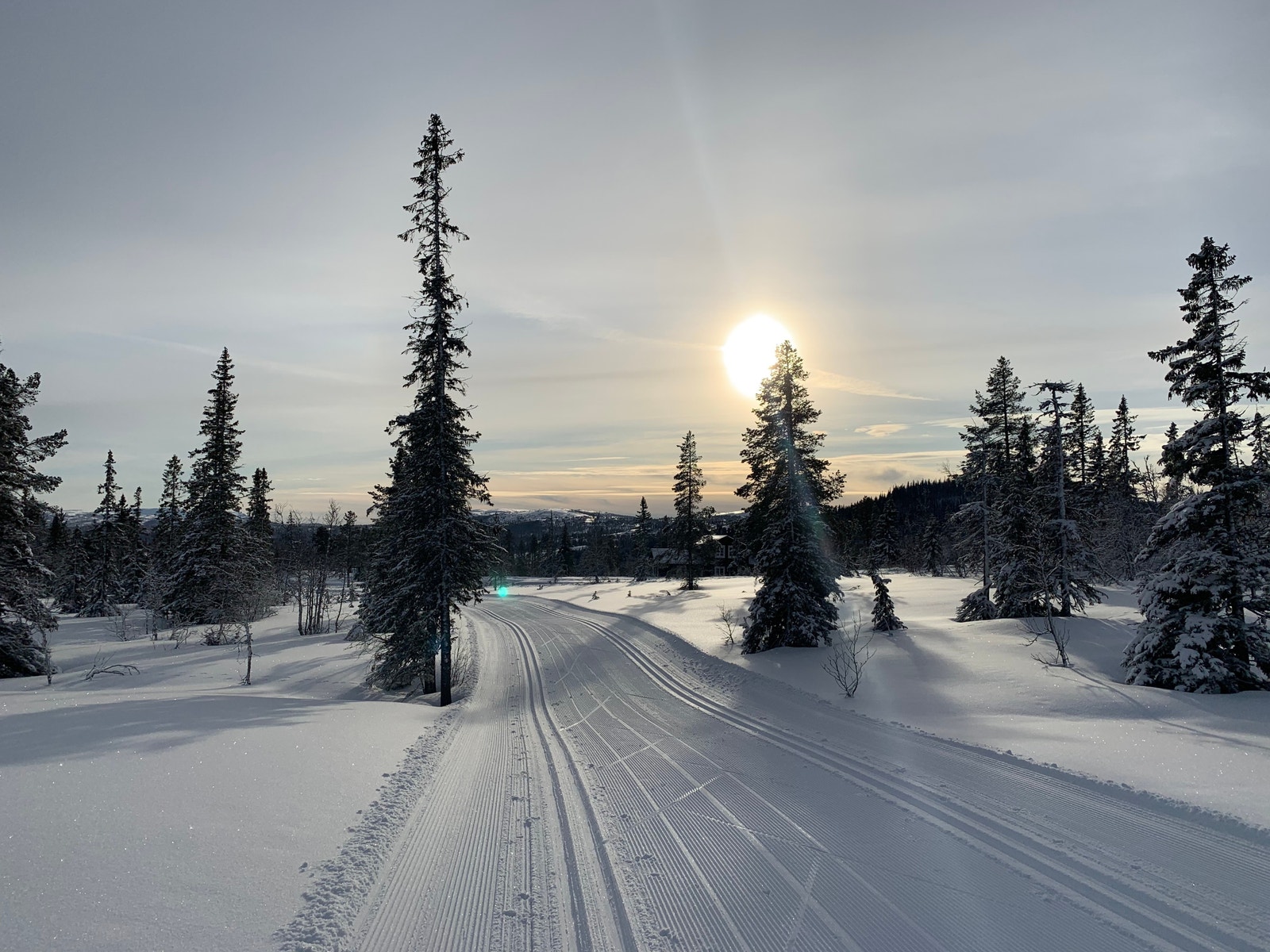 Høybulie Galleribilde