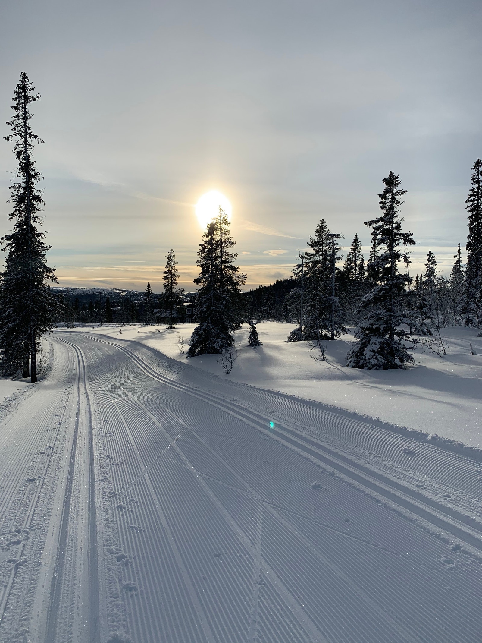 Se mer på www.vegglifjelltomter.no Galleribilde