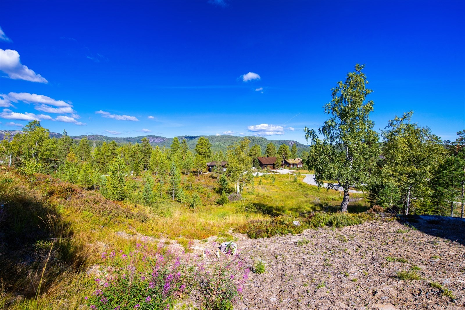 Tomt B (bnr. 474). Galleribilde