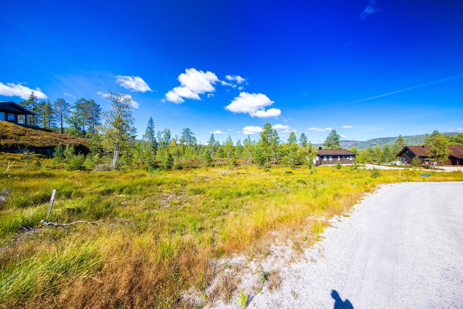 Tomt B (bnr. 474). Galleribilde