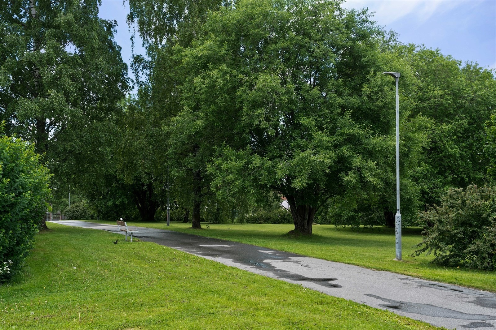 Tveitaparken. Flott parkområde med gangvei, grøntareal, lekeplass og kunstgressbane. Galleribilde