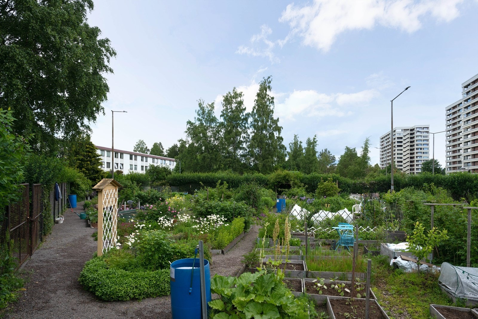 Nærområdet. Hageområde ved tveita parken. Galleribilde