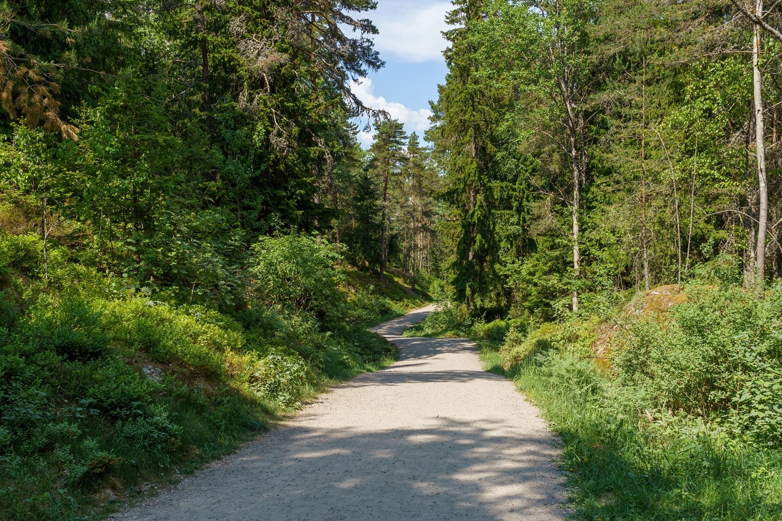 Rundt Lutvann finnes en blåmerket sti som er ca. 5 km lang. Turen byr på både spennende natur og flotte utsiktspunkt. Galleribilde