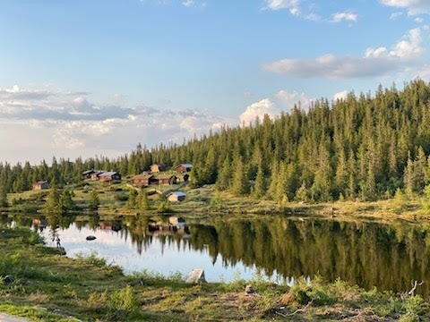 Selgers bilde Galleribilde