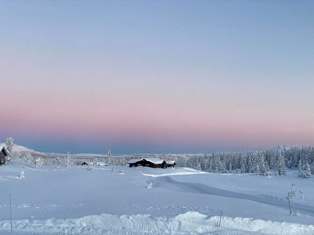 Selgers bilde Galleribilde