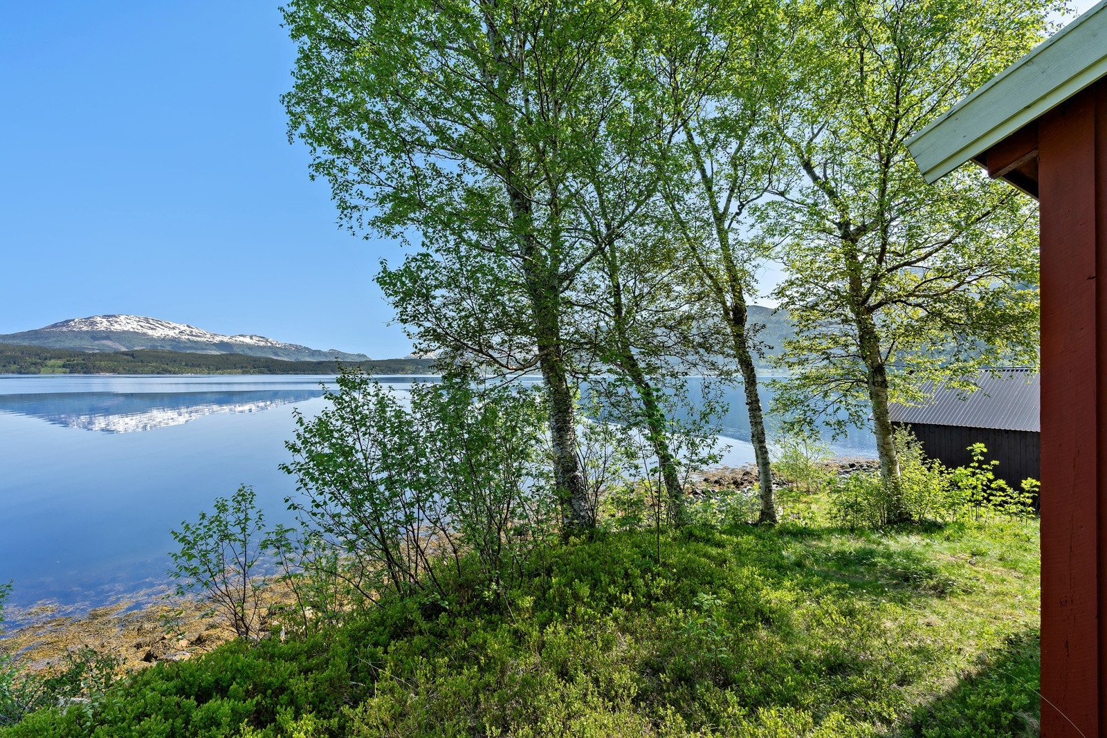 Uteområdet Galleribilde