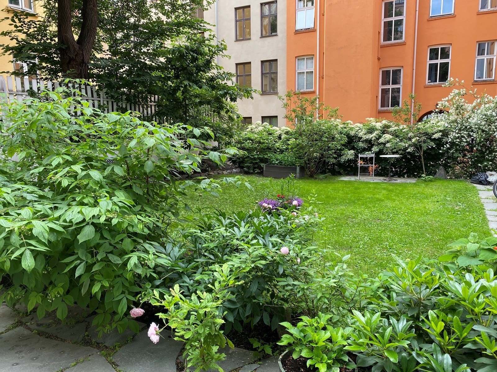 Selgers bilde fra bakgården om sommeren. Galleribilde