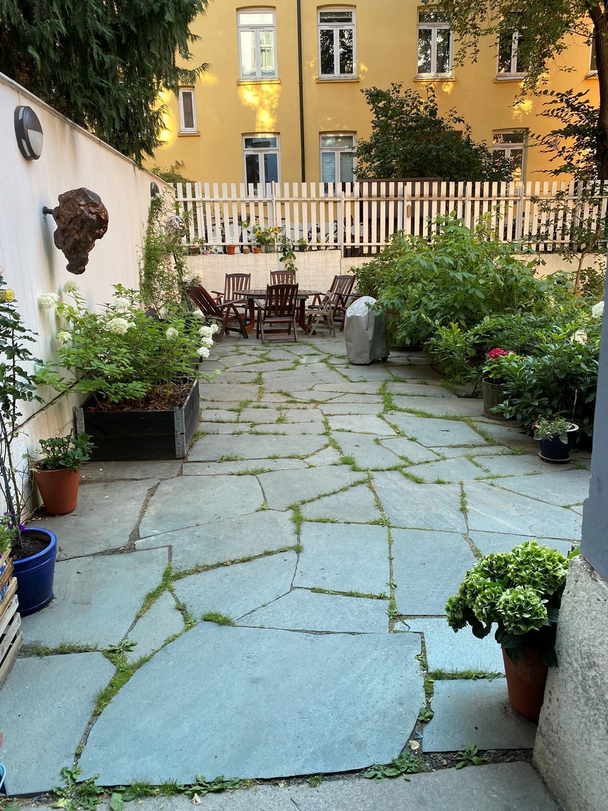 Selgers bilde fra bakgården om sommeren. Galleribilde