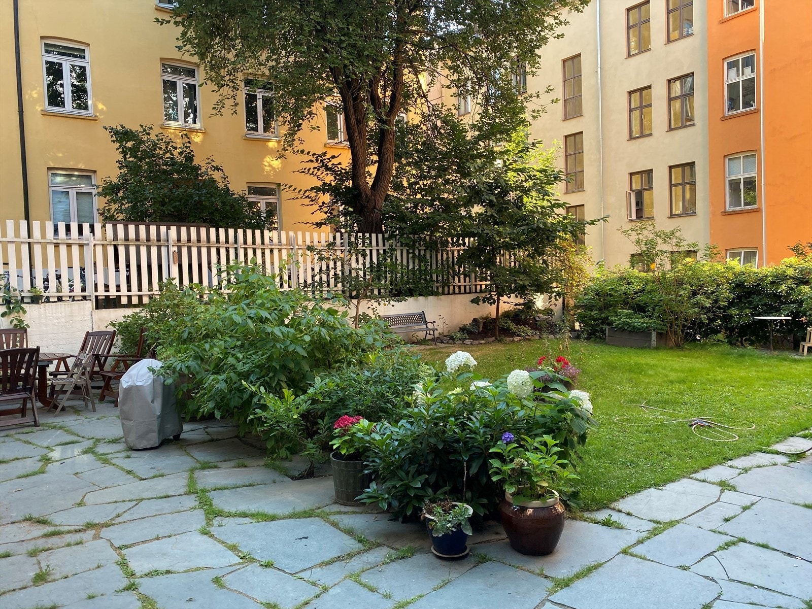 Selgers bilde fra bakgården om sommeren. Galleribilde