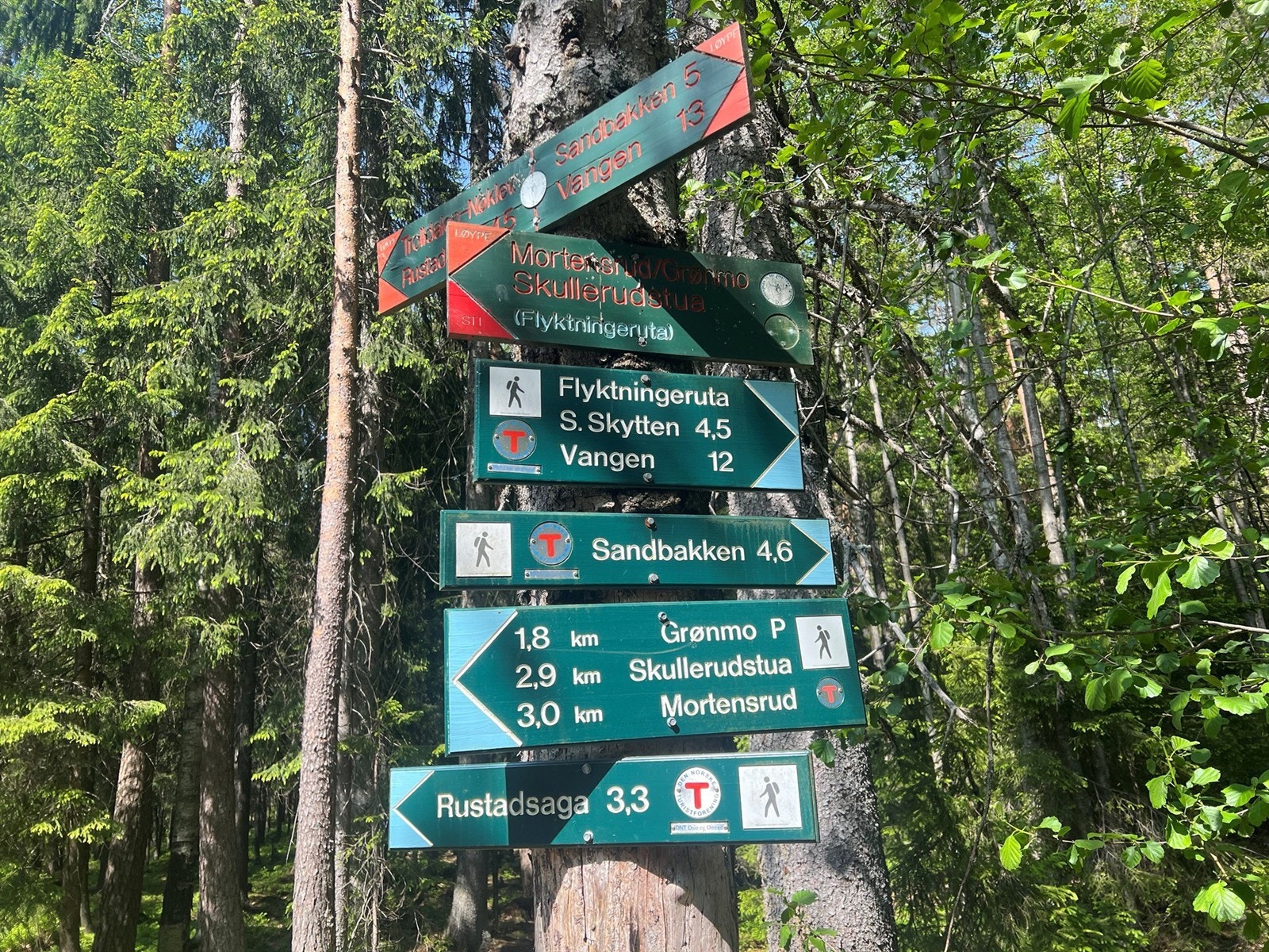 Inngangen til Østmarka ligger kun få minutter unna boligen. Innover finner du et bredt utvalg av turstier, badevann og flere stuer med servering. Galleribilde