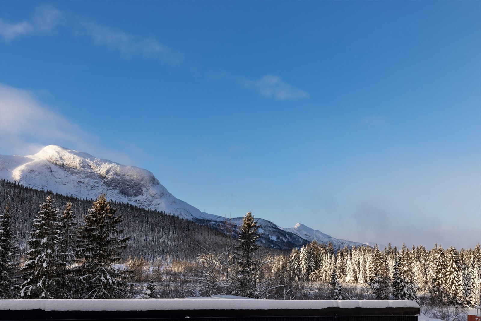 Utsikt fra veranda. Galleribilde