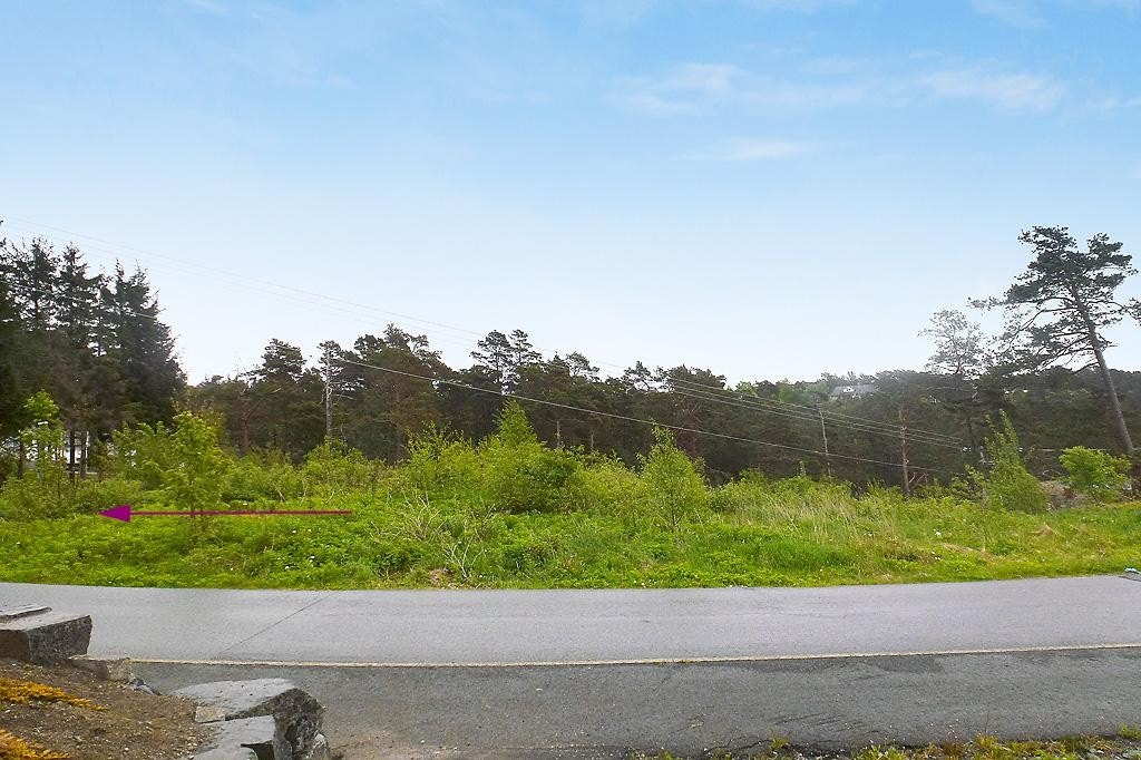 Bnr.145 Galleribilde