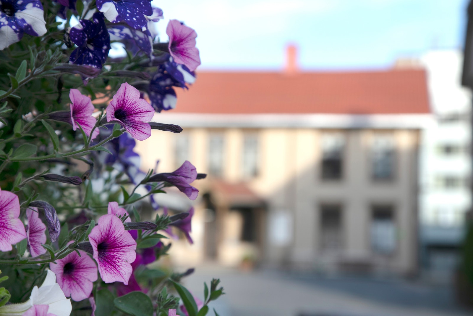 Stemning Galleribilde