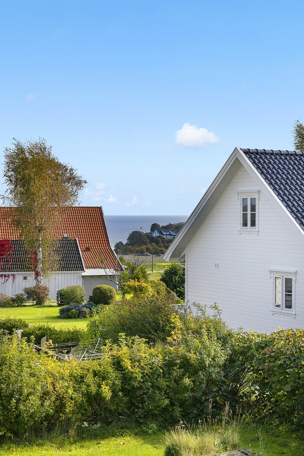 Sjøgløtt. Galleribilde