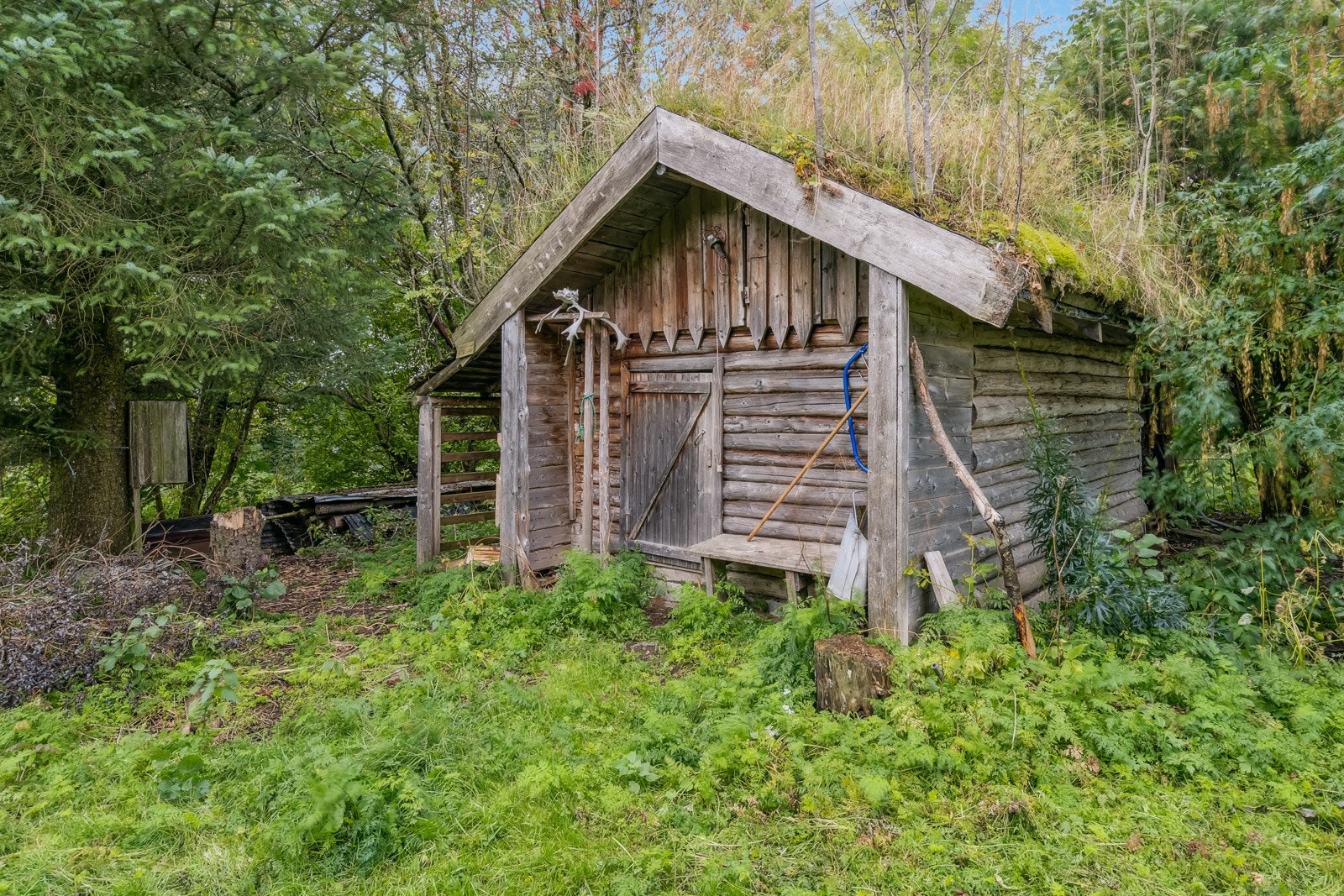Badstue Galleribilde