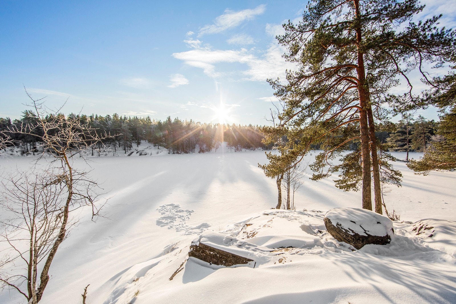Det er mange stier å velge i, som fører deg videre ut i marka. Vil du bare gå en liten tur kan runden rundt Ulsrudvannet være bra Galleribilde