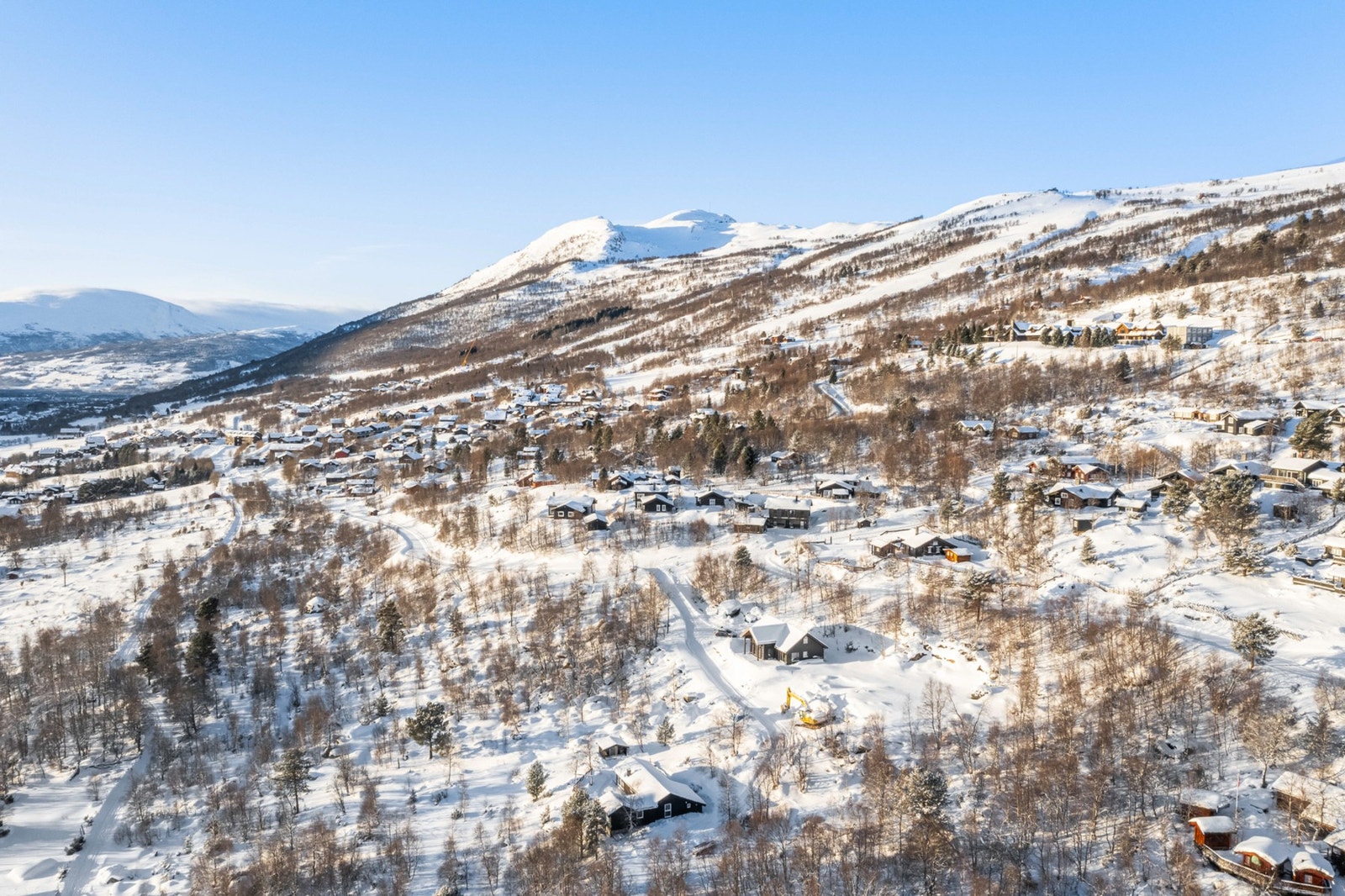 Velkommen til visning! Galleribilde