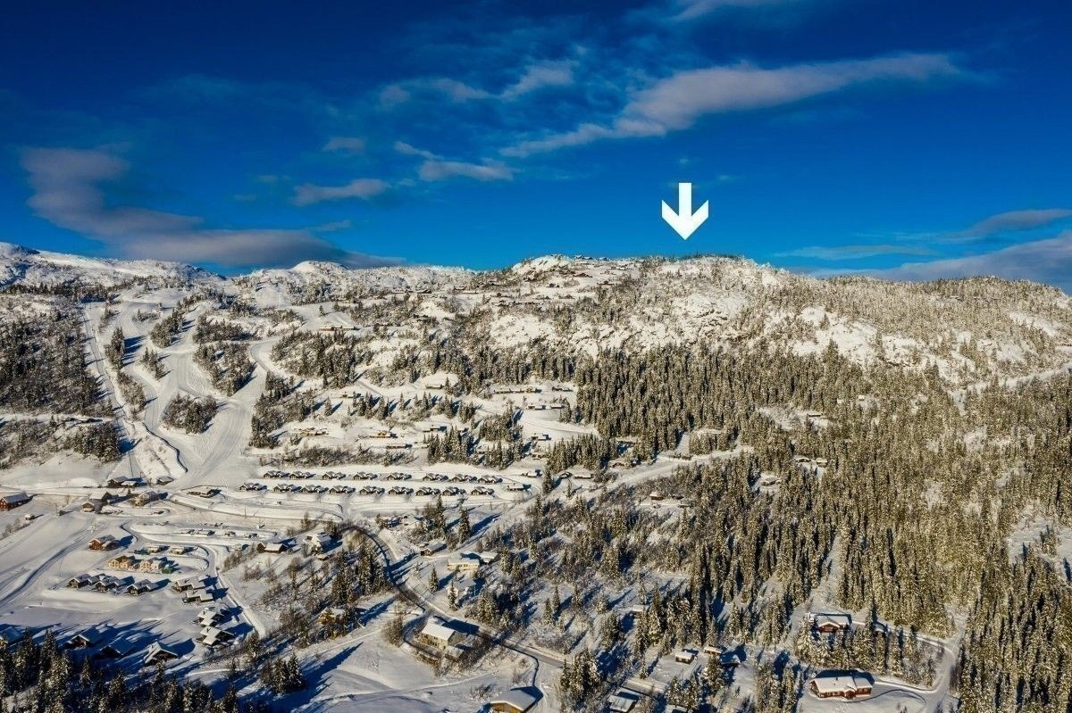 Flotte Stavadalen Galleribilde