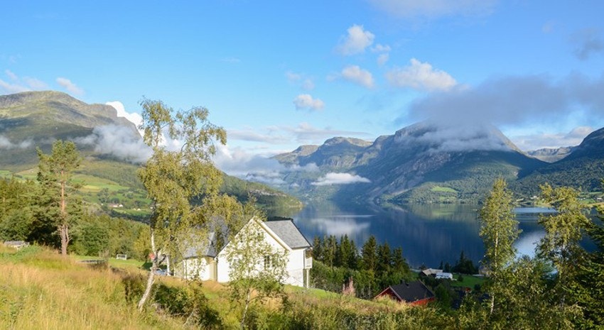 Steintræet boligfelt ligger sentralt i Vang, ca. 1,5 km fra Grindaheim/sentrum. Flott utsikt mot Vangsmjøse og mektige fjell som blant annet Grindane, Bergsfjellet, Skutshorn og Vennisfjellet Galleribilde
