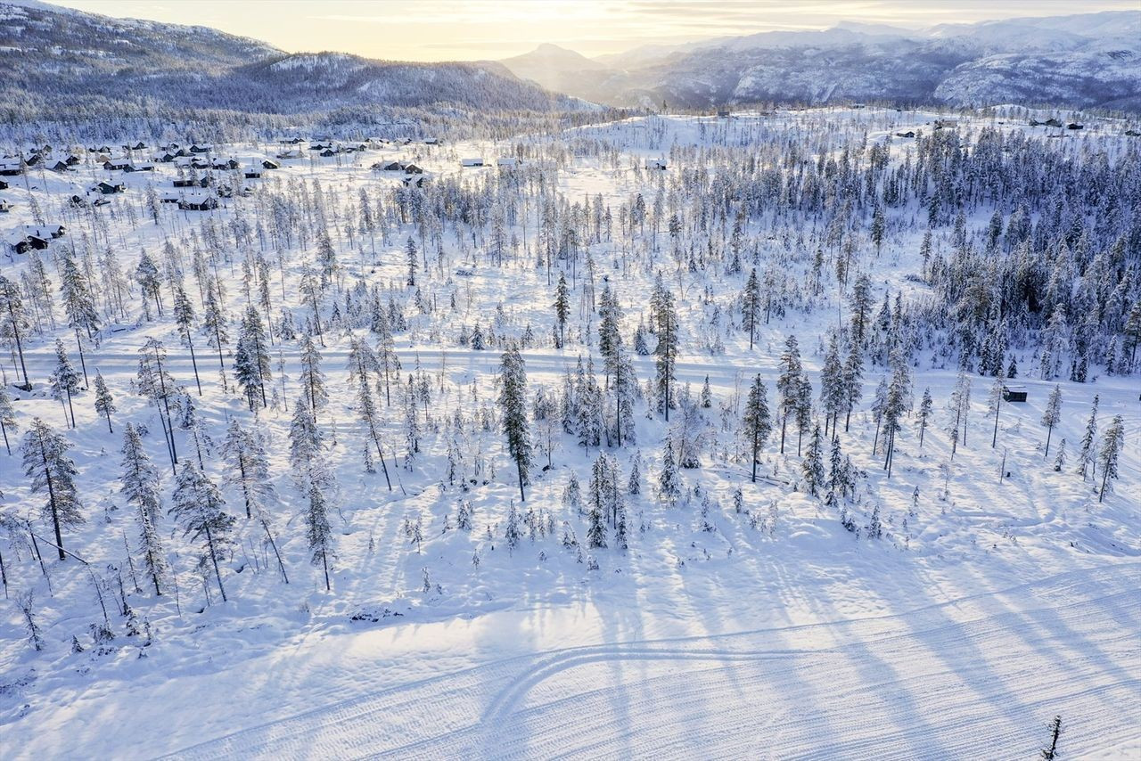 Slåtta øst