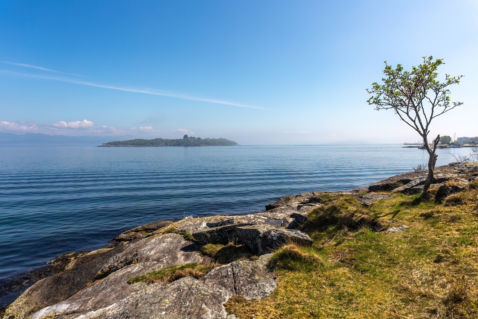 Nærområde Galleribilde