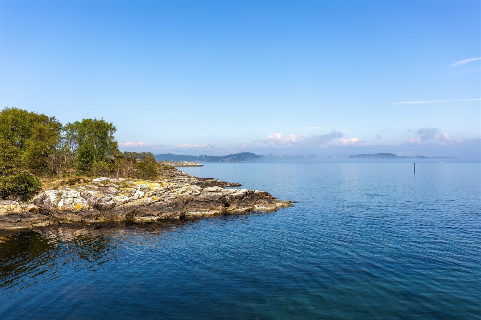 Nærområde Galleribilde