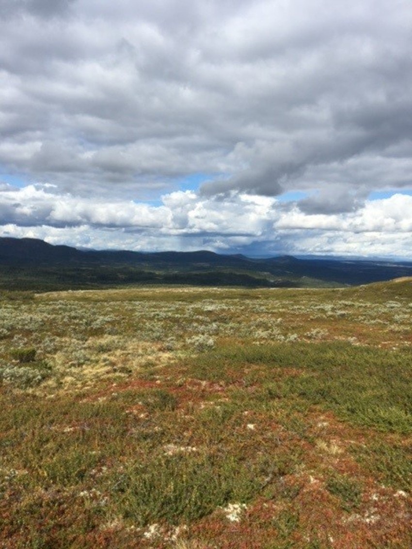 Noen av fotturene som kan anbefales er Spåtind (1.414 m.o.h), Djuptjernkampen (1.325 m.o.h) eller Solskiva (1.184 m.o.h). En sykkeltur til Liomseter i Langsua Nasjonalpark, vil også by på rike naturopplevelser. (Selgers foto) Galleribilde